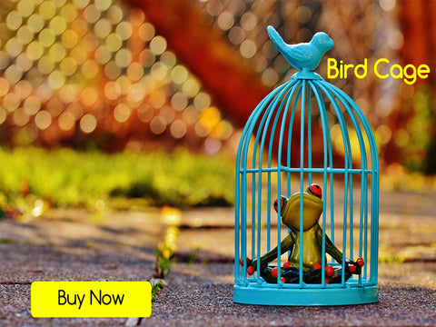 BIRD CAGE/HOUSE