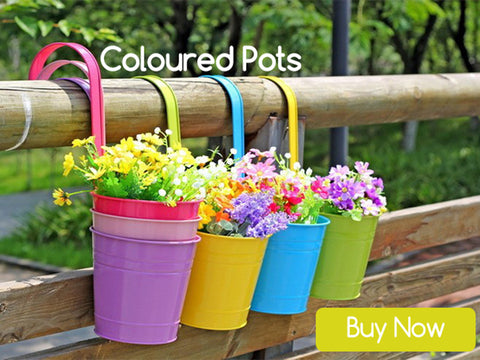 BEST COLOURFUL PLANT POTS