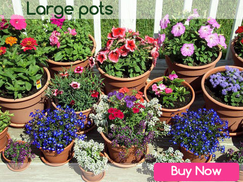 LARGE SIZE GARDEN POTS &amp; PLANTERS ONLINE