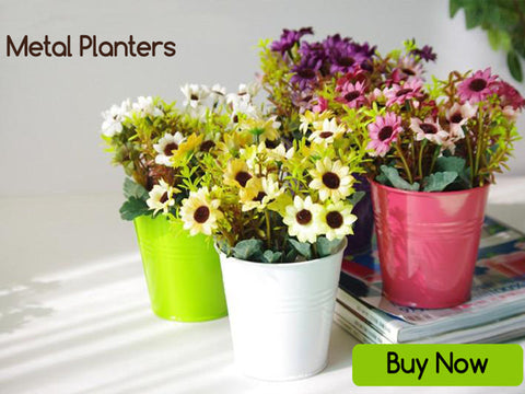 Best Metal Planters in India