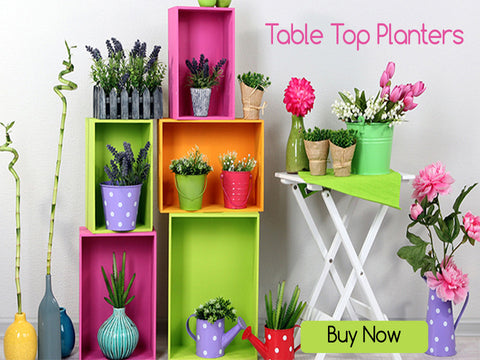 TableTop Planters