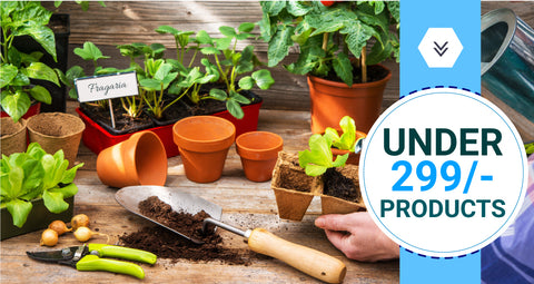 Under Rs.299