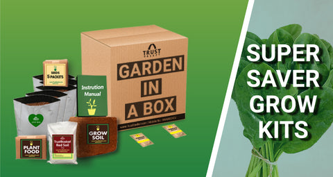 Best Vegetable &amp; Gardening Kit in India
