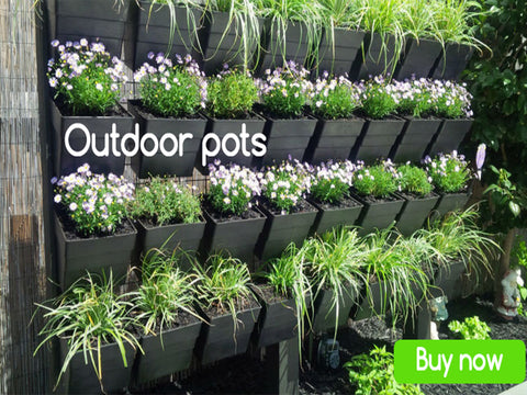 OUTDOOR PLANT POTS AND PLANTERS Online