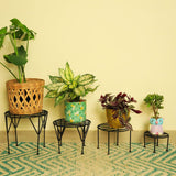 Iris Planter Stand for Flower Pot Heavy Duty Potted Stand Indoor Outdoor Metal Rustproof Iron Garden Container(Set of 4)