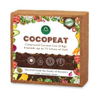 COCOPEAT BLOCK - EXPANDS TO 75 LITRES of COCO PEAT POWDER