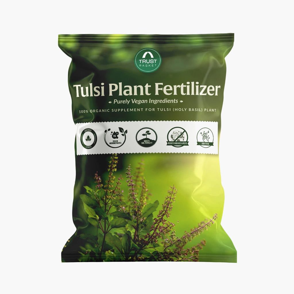 tulsi plant fertilizer Tulsi Fertilizer