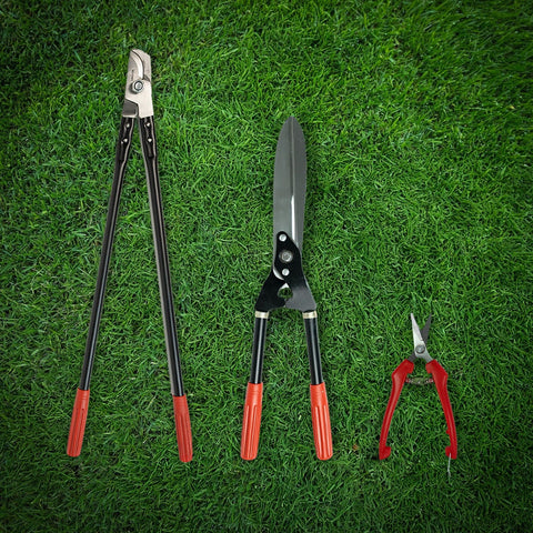 Gardening Tools Kit for Home Garden | Looper, Shear & Pruner Set