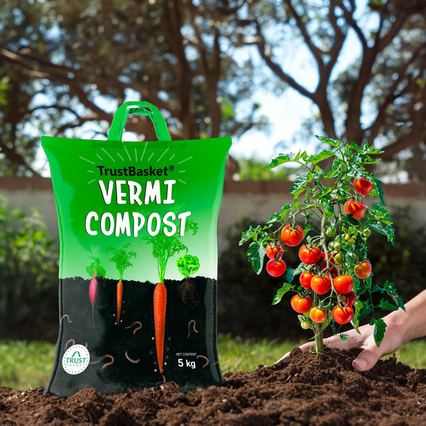 TrustBasket Combo Enriched Organic Earth Magic Potting Soil + Pure & O