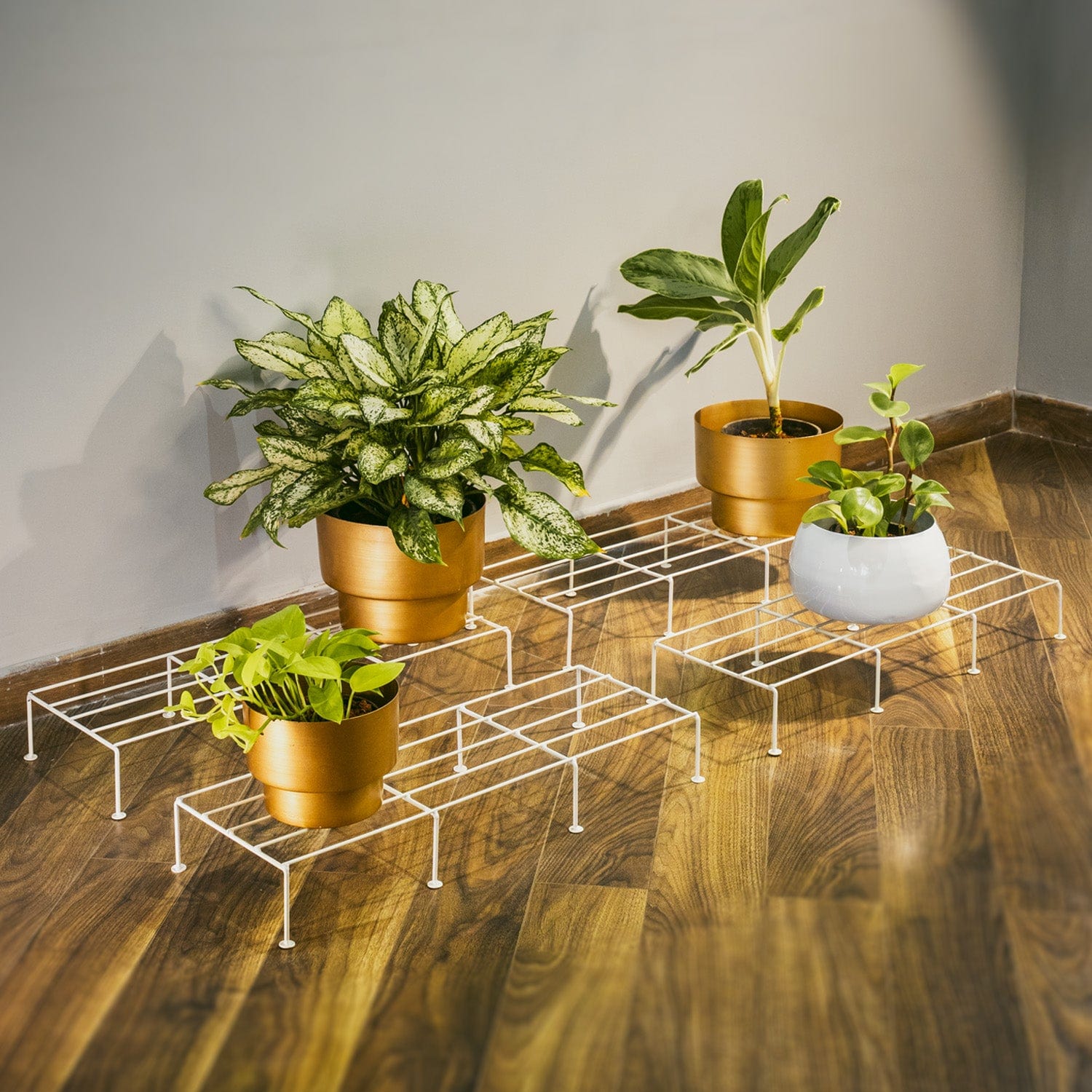 Bold Plant Stand