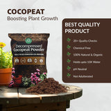 Cocopeat Powder for Plants | Organic Coco Peat Powder Coconut Husk
