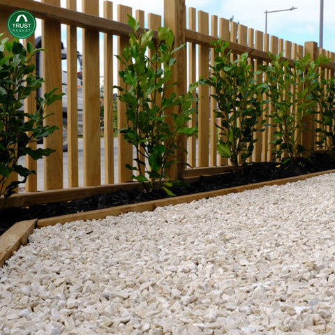 White Pebble Decorative Stones Marble Chips