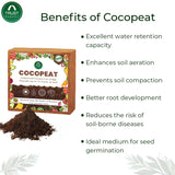COCOPEAT BLOCK - EXPANDS TO 75 LITRES of COCO PEAT POWDER