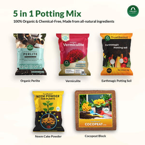 5 1 1 potting mix 5-in-1 Potting Mixture- Makes 10Kg Soil Less Mix – TrustBasket