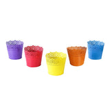 Lace Planter-Set of 5 (Yellow, Teal, Red, Orange, Purple)