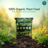 Organic NPK Fertilizer for Plants – Bio NPK
