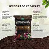 Cocopeat Powder for Plants | Organic Coco Peat Powder Coconut Husk