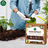 COCOPEAT BLOCK - EXPANDS TO 75 LITRES of COCO PEAT POWDER