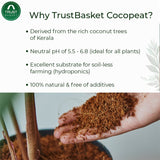 COCOPEAT BLOCK - EXPANDS TO 75 LITRES of COCO PEAT POWDER