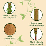 Coir Moss Stick/Coco Pole for Climbing Indoor Plants (Set of 2)