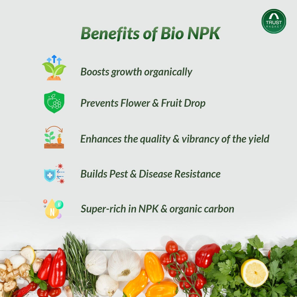 Npk File Organic NPK Fertilizer for Plants – Bio NPK – TrustBasket