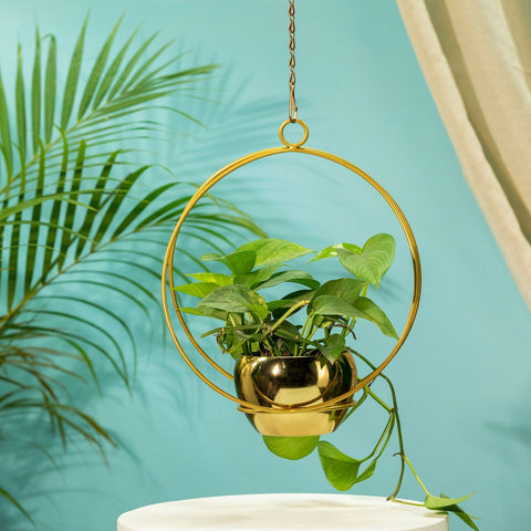 Buy Medium Pots Online - TrustBasket Lunar Eclipse Metal Hanging Planter