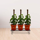 Lantana Planter Stand