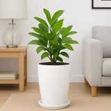 Blossom Solid White Flower Pot with Saucer
