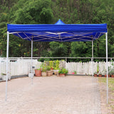 TrustBasket Foldable Garden Canopy