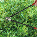 Gardening Tools Kit for Home Garden | Looper, Shear & Pruner Set