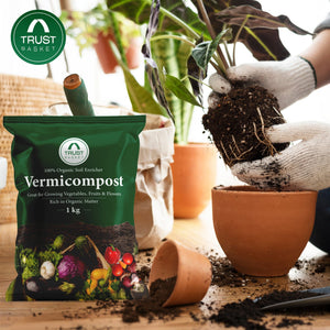 vermicompost for indoor plants Vermicompost