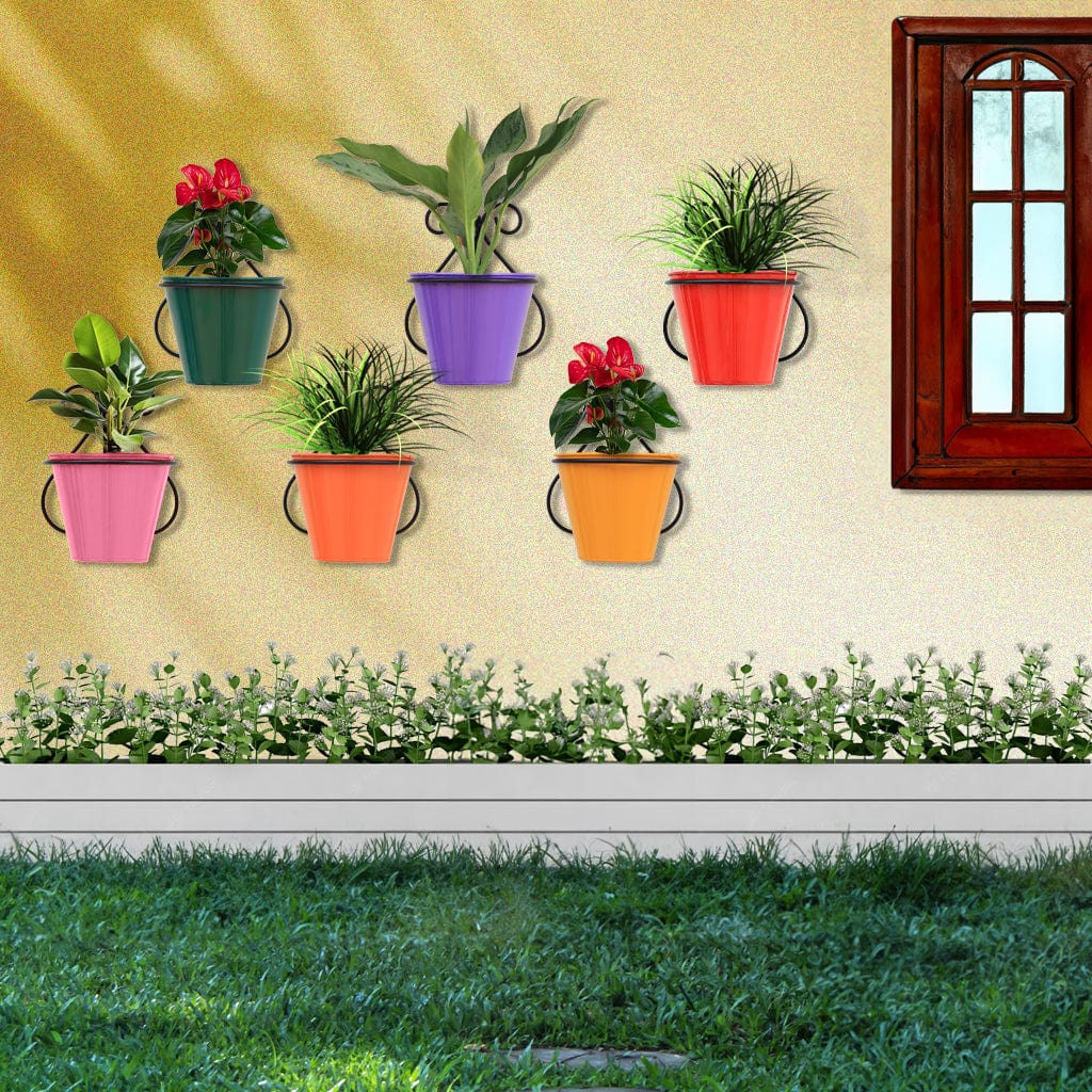 outdoor wall hanging plant pots Rainbow Wall Mounting Planters with Stands (Set of 6)-Wall Hanging Pot – TrustBasket