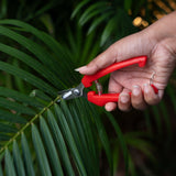 Gardening Tools Kit for Home Garden | Looper, Shear & Pruner Set