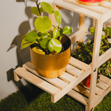 Classic Plant Stand