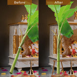 TrustBasket Banana Stand / Holder For Pooja