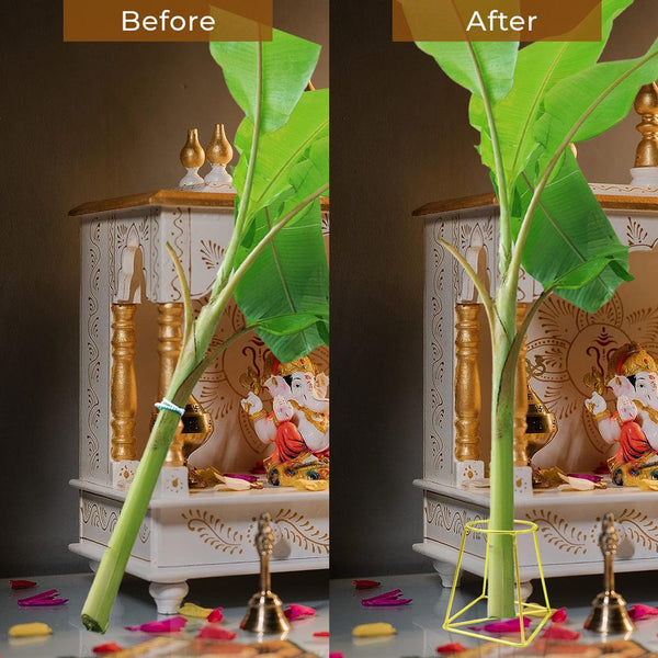 TrustBasket Banana Stand / Holder For Pooja