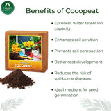 TrustBasket Cocopeat for Plants (5kg) + Earth Magic Potting Soil Fertilizer for Plants (5 kg)