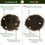 TrustBasket Vermicompost for Plants