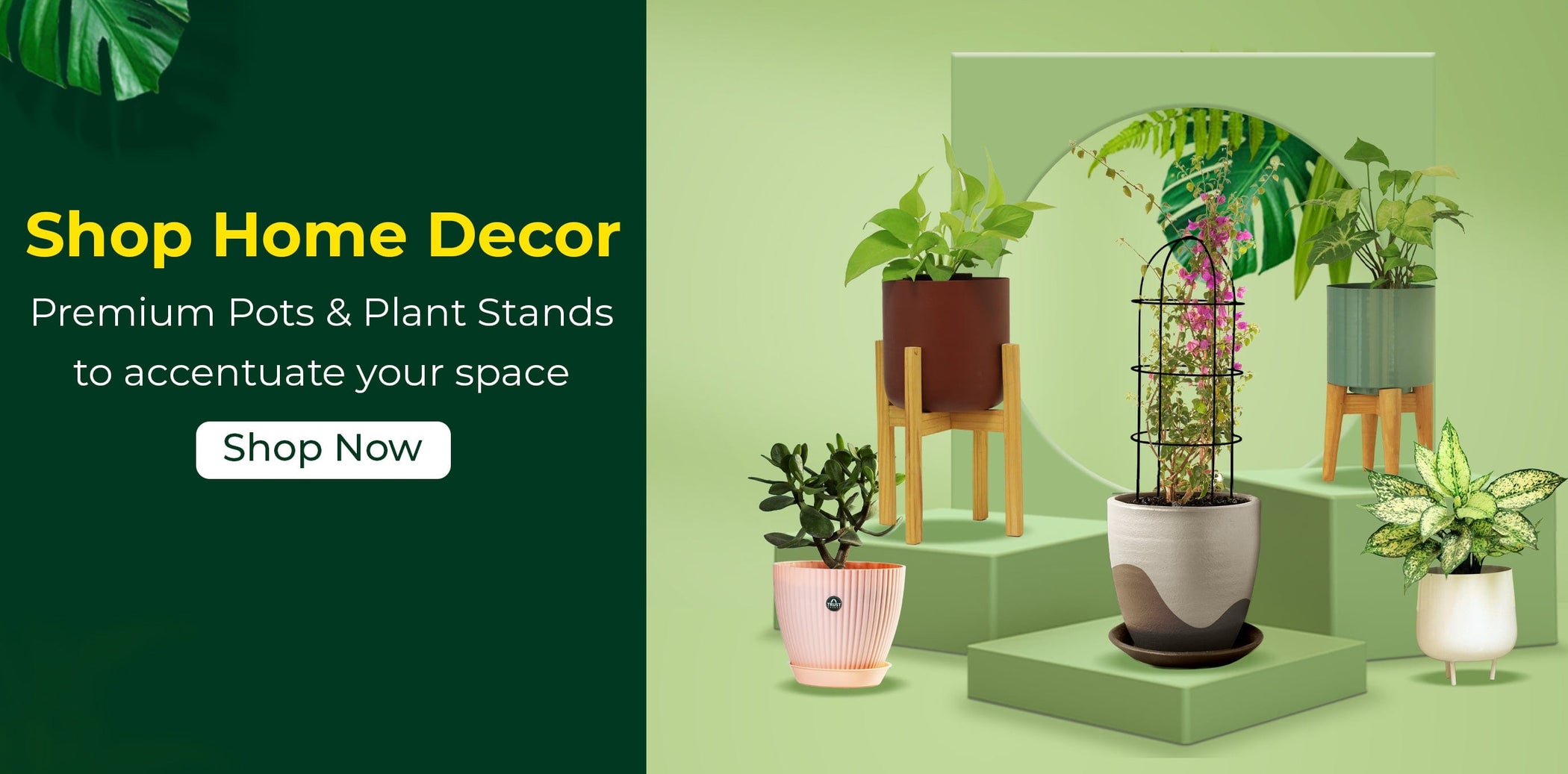 Garden sales accessories online