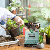 TrustBasket Perlite for Plants Soil Additive Horticultural Grade