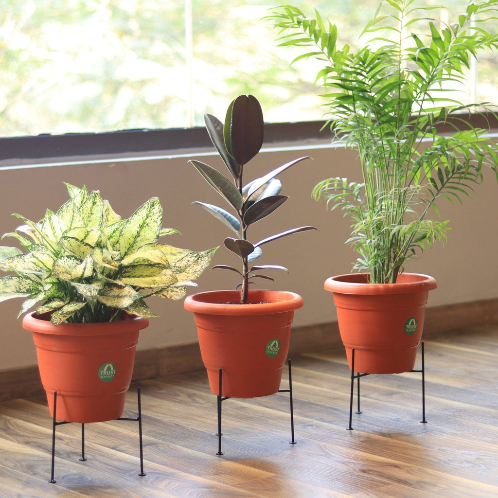8 inch plant pot with stand Rory Stand Suitable for 8 inch Pots – TrustBasket