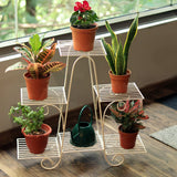 TrustBasket Marvel Planter Stand