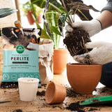 TrustBasket Perlite for Plants Soil Additive Horticultural Grade