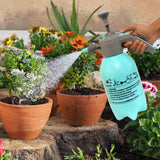 TrustBasket Premium Pressure Sprayer 2 Litre (Aqua Blue) | Pressure Spray Bottle for Plants | Gardening Water Pump Sprayer | Plant Spray Bottle for Garden | Spray Bottles for Gardening,
