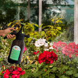 TrustBasket Premium Pressure Sprayer 2 Litre (Black) | Pressure Spray Bottle for Plants | Gardening Water Pump Sprayer | Plant Spray Bottle for Garden | Spray Bottles for Gardening,
