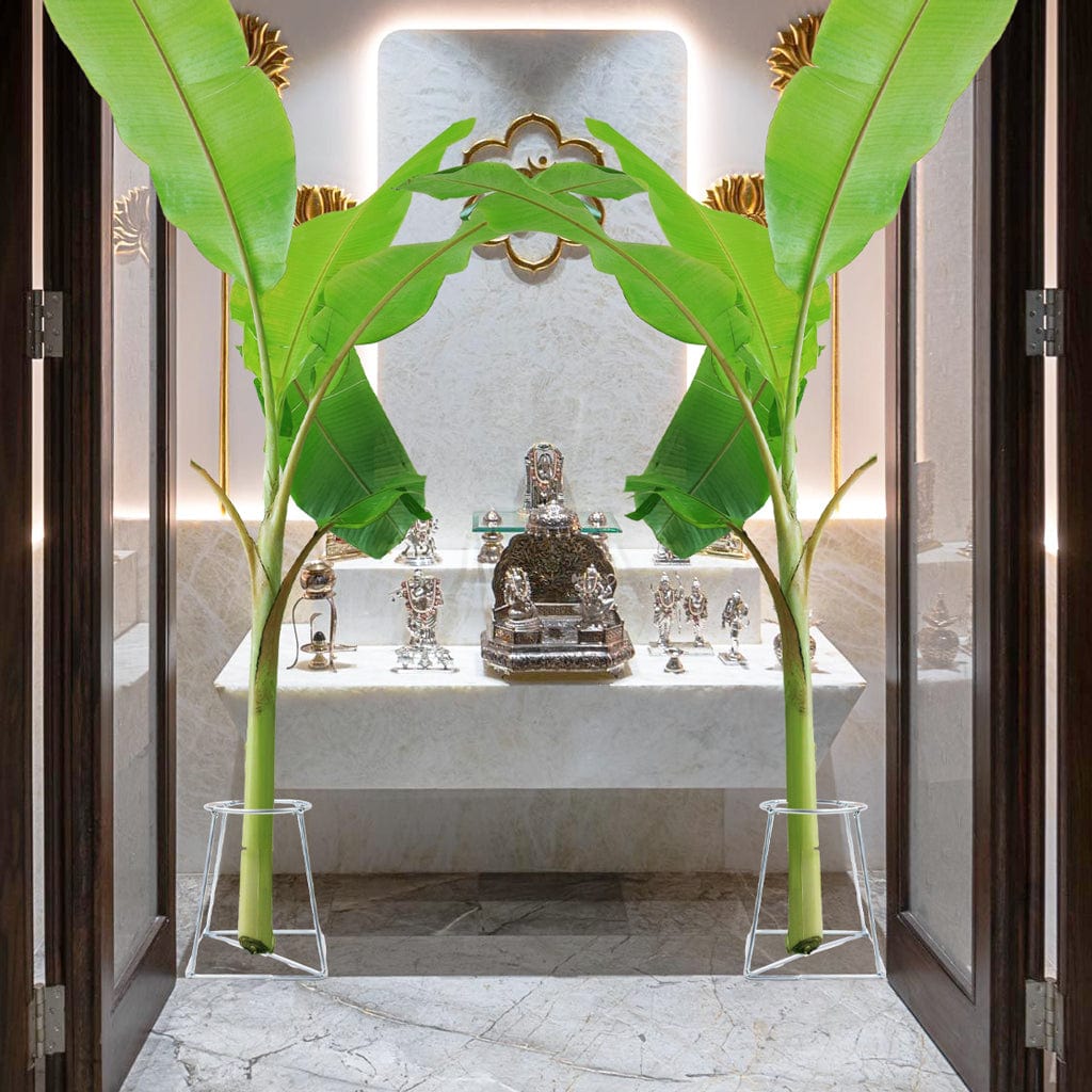 TrustBasket Banana Stand / Holder For Pooja