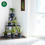 TrustBasket Corner Stand Stair-Step Style flower pot stand for Garden Balcony Indoor Outdoor