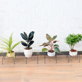 Indigo Planter Stand for Plants