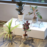 Indigo Planter Stand for Plants