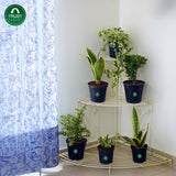 TrustBasket Corner Stand Stair-Step Style flower pot stand for Garden Balcony Indoor Outdoor